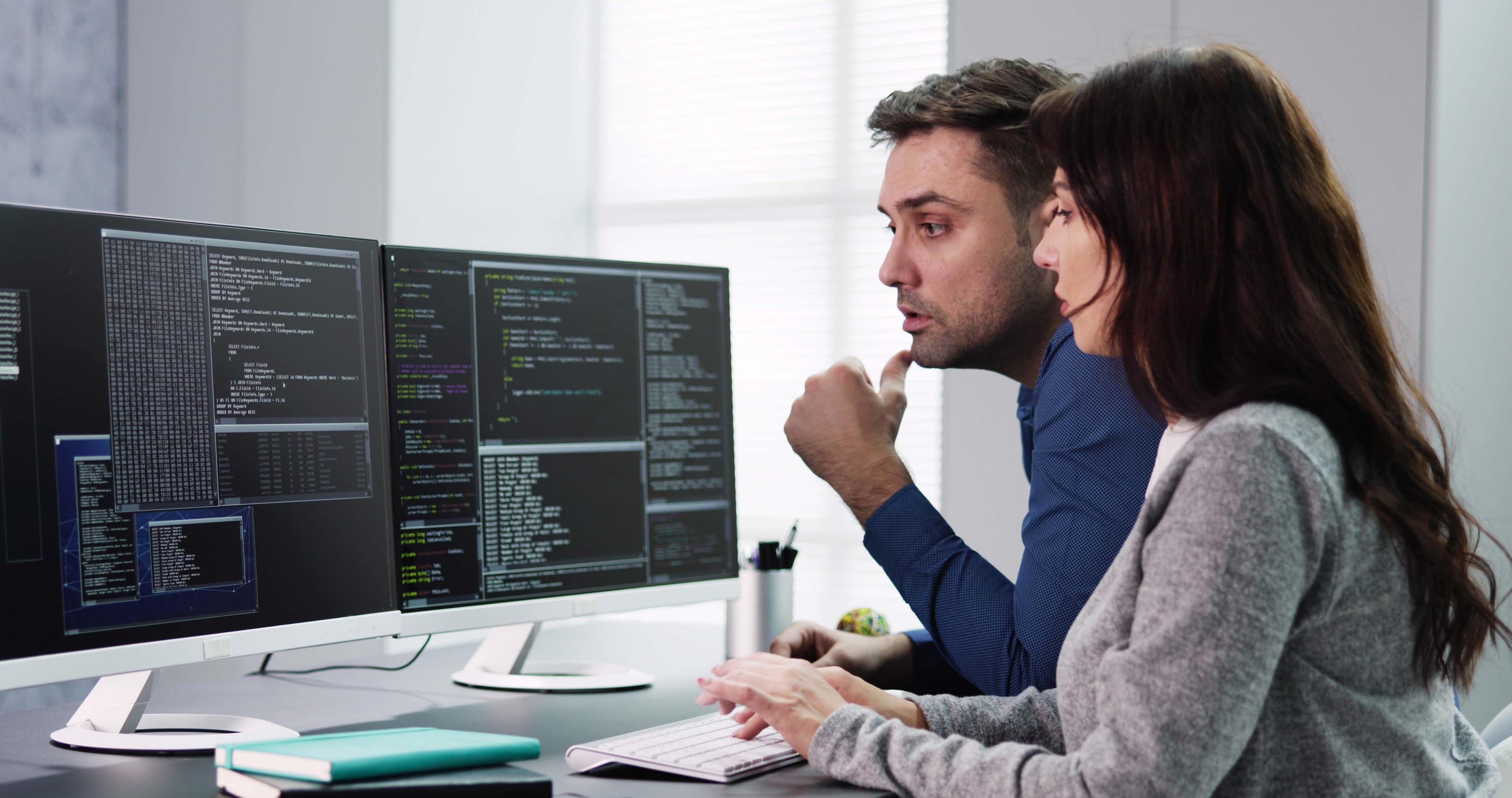 Development Team